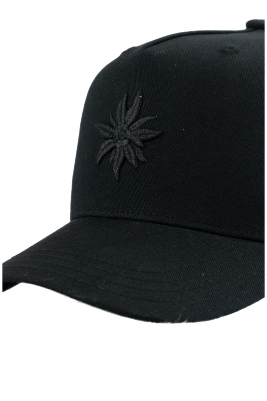 _SCHWARZ
