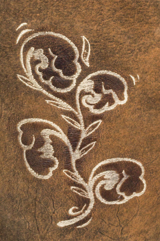 _BRAUN