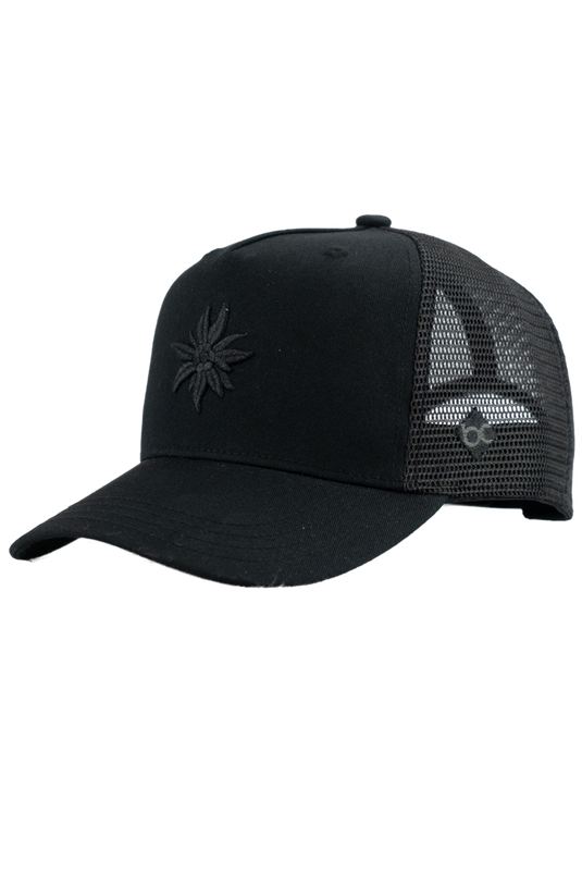 _SCHWARZ